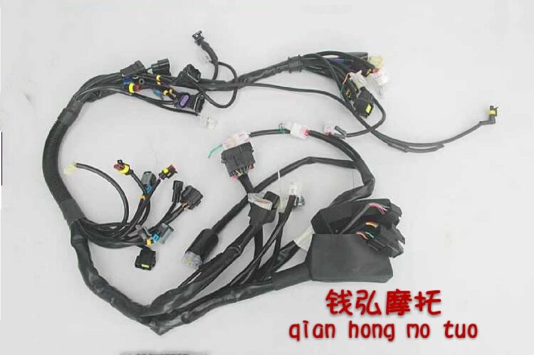 Qian Hongmoo's applicable Huanglong BJ600GS TNT600ABS full car cable full car line harness
