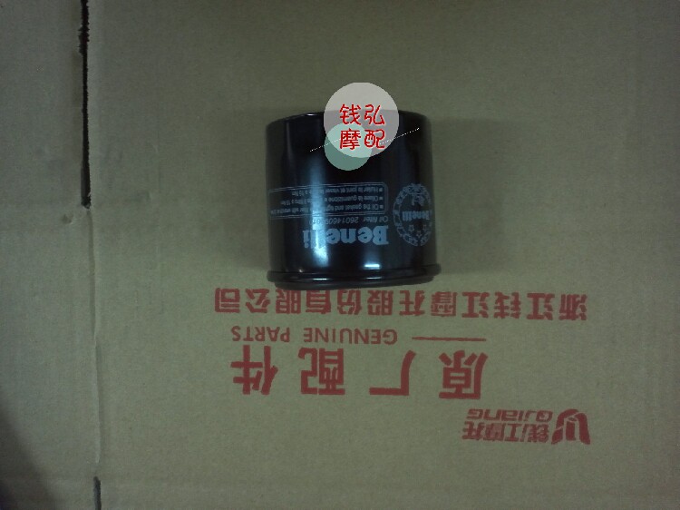 Qian Hongmo is suitable for Huanglong BJ600GS BJ300 oil filter element oil filter core oil filter