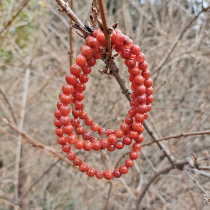 Cheeseian natural South Red Manau bracelet Multi-ring wine red single beads girl money to play the temperament ethnic wind gift