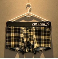 Pure cotton underwear mens boxer pants seamless plaid trend Korean version loose casual slit design Arrow pants large size