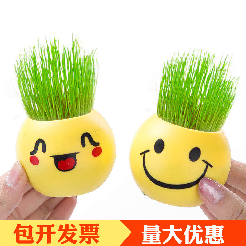 Long Grass Doll QQ Expression Potted Children Creative Green Grass Plant Elementary School Students Prize Kindergarten Gift Small Gift-Taobao
