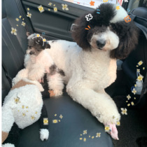 A gift a random jewelry