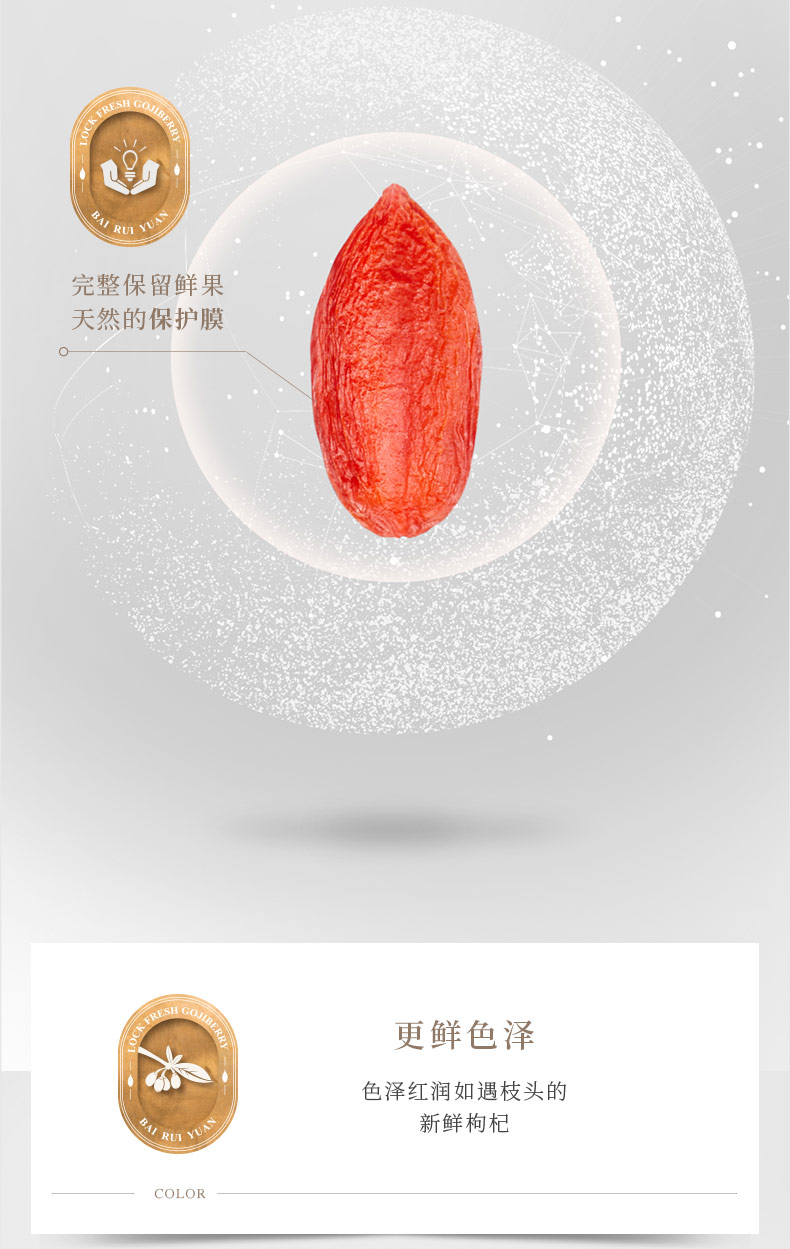 Lock Lycium Borcian Подробный Page-dingfeng_03.jpg