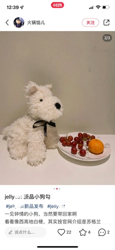 Выйдите из jellyc*t West Highland Dog Men Men Loc -Grawl Puppy Plush Toys с плюшевыми игрушками