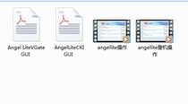 Airport Check-in Staff Operating System Training Guide Video Version