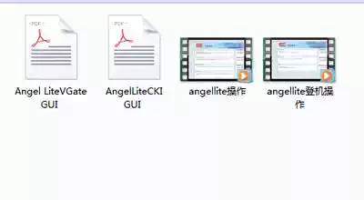 Airport check-in staff operating system training guide video version