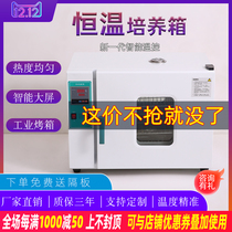 Electrothermal constant temperature incubator laboratory bacteria microorganism peritoneal dialysis liquid seed germination chamber incubator QS