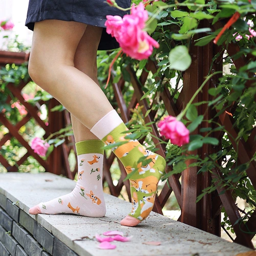 Оригинальные шнурки CrazySox AB с модным асимметричным узором «утка-мандарин» и уличные универсальные шнурки средней и высокой высоты.