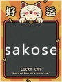 sakose正品品牌折扣店