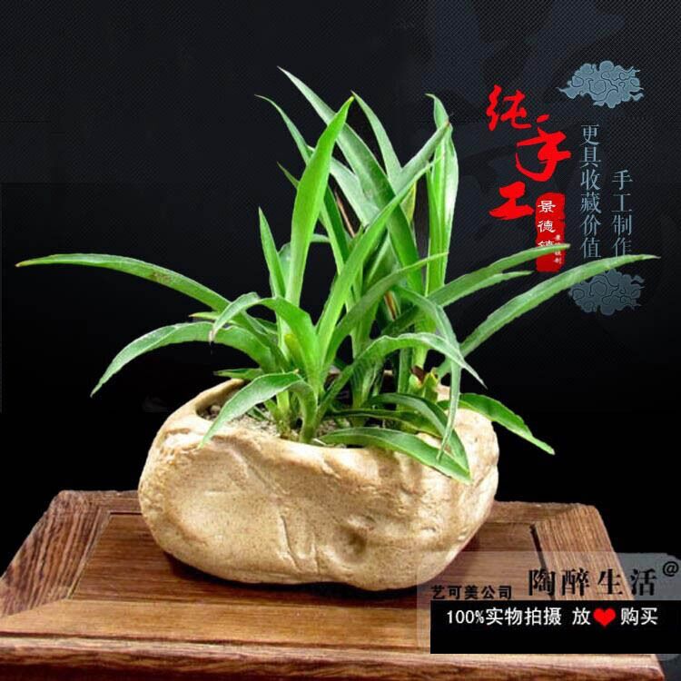 Hoa gốm sứ Jingdezhen Hoa văn hóa nước Bình nhỏ Đá gốc Treo chậu hoa (Giang Tô, Chiết Giang và Thượng Hải 5) - Vase / Bồn hoa & Kệ bình cắm đào