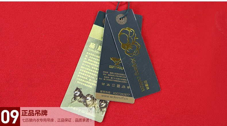 Sous-vêtement thermo Moyen-âge SEPTWOLVES D2250-2 en coton - Ref 767846 Image 42