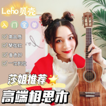 Small Red Book Lisa Gacia Sister Recommended LEHO seashells Bright Lacquer Sywood Full Monoyukri AKG