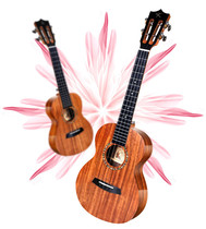 Lisa Garcia high Yan value push 70D series Acacia wood veneer Ukulele beginner small guitar 23 inches