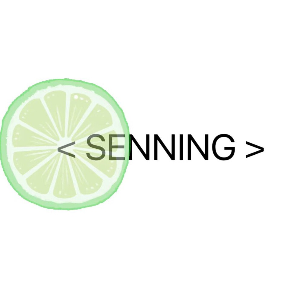 森柠轻奢饰品SENNING