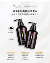  Buy and send Qiao Xin recommended Mo Xiaobao FicceCode FicceCode Ginger hair Mask Shampoo without silicone oil