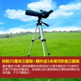 Borg Изменение птиц смотрит зеркало зеркало зеркало зеркало с высоким уровнем телескопа с высокой мощностью мобильного телефона видео видео, подключенное к SLR