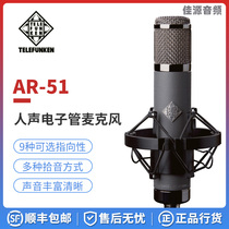telefunken de Law Wind root AR-51 professional recording studio vocal Electronic Tube Condenser microphone microphone