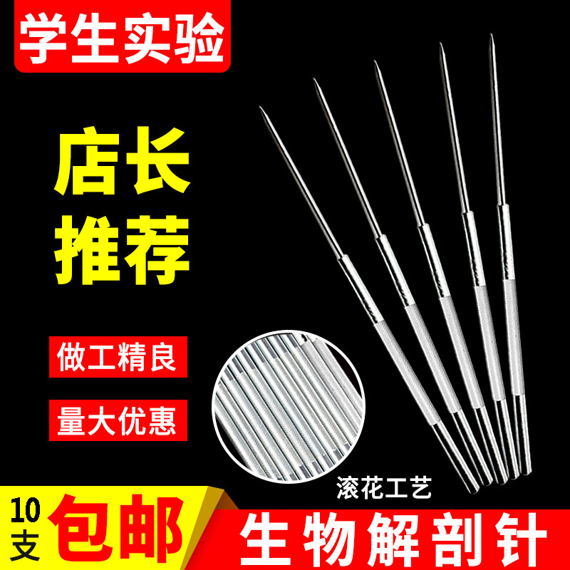 Insect Anatomical Needle Stainless Steel Middle School Students Object Experimental Probe Straight Tip Teaching Anatomical Tool Professional Specimen Making Experimental Equipment Teaching Aids Teaching Instruments Tool teaching aids