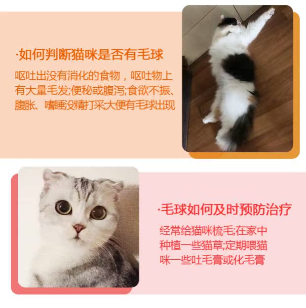 滋 元 膏 Kem dưỡng ẩm cho mèo Pet 100g điều hòa dạ dày - Cat / Dog Health bổ sung 	sữa cho mèo uống	