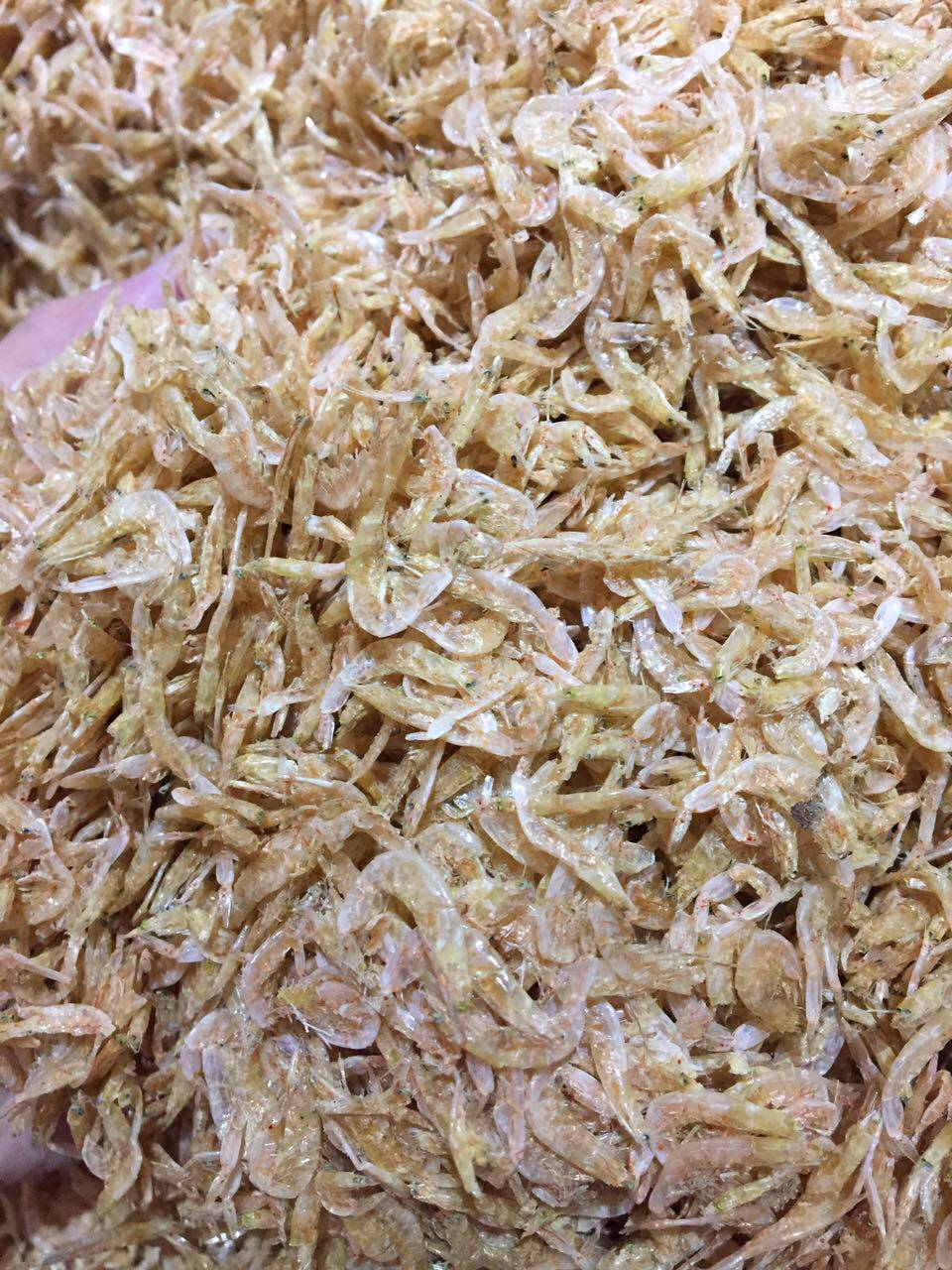 Feed turtle shrimp skin water turtle squirrel shrimp dried turtle feed turtle food high calcium anti-soft shell special alligator turtle Brazil stone money