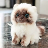 Реалистичная плюшевая игрушка, милая детская тряпичная кукла, котенок, кот, подарок на день рождения