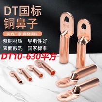 National standard copper nose DT10-300 copper wire nose wire and wire copper nose copper wire ear copper wire joint pure copper red copper