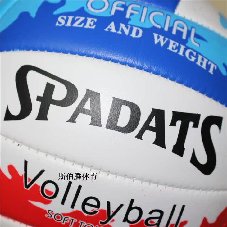 Ballon de volley - Ref 2009816 Image 24