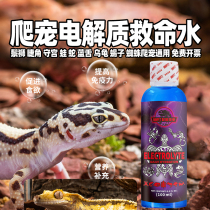 Reptile pet multi-electrolyte water BAO WEN gecko eyelash-horned tree frog turtle land and water turtle maned dragon lizard horned frog bath nutrient solution
