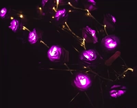 Фиолетовая лампа