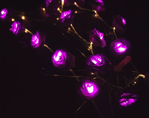 Реквизит для фотографии, реалистичный креативный фонарь, розы, в цветочек