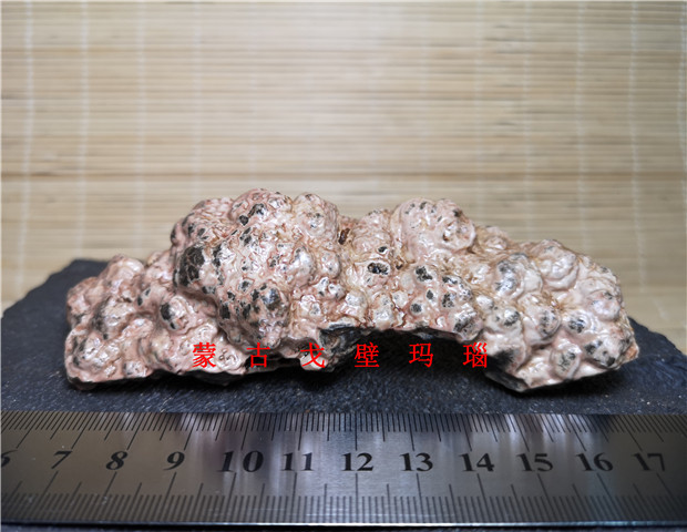 Natural Alxa Gobi Agate Mongolian Gobi Stone Fengling Stone Ancient Wood Fossil Specimens Kistler Raw Stone Play