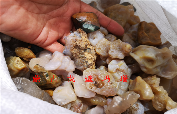 10 yuan Alashan Gobi Agate wind Lingqi stone rough Bonsai gardening fish tank meat practice hand shape