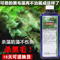 In addition to black algae moss removal agent Algae removal agent does not hurt fish 52 aldehyde to kill brown algae silk nemesis Fish tank grass tank green water