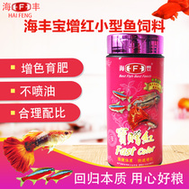 Haifeng Treasure red small fish feed Lamp fish feed Lamp fish fish food treasure Red Guppy feed fish food