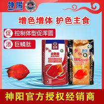 Shen Yang Yan Red rich fish color feed blood parrot bright fish food Map fish food Red parrot fish food