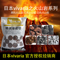Japan vivaria fish tank filter material Volcanic rock filter material Volcanic crystal rock aquarium water volcanic stone