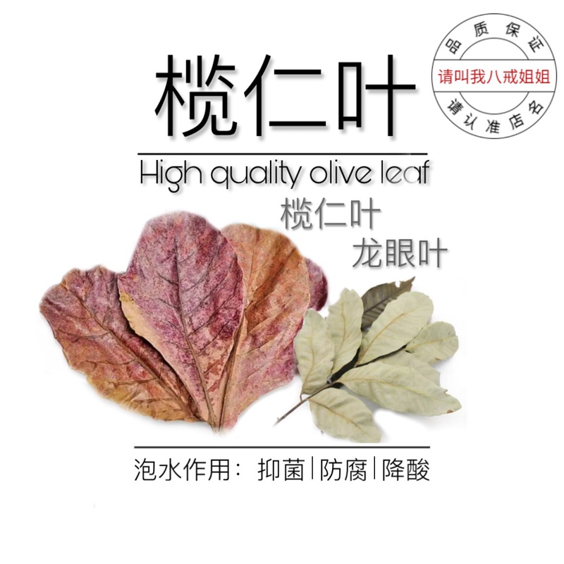 Longan Leaves, Lazy Leaves, and Olive Leaves Can Lower the Ph Value of the Fish Tank, Reduce Acidity, and Improve Water Quality; Longan Leaves Are Used as a Hiding Place for Turtles