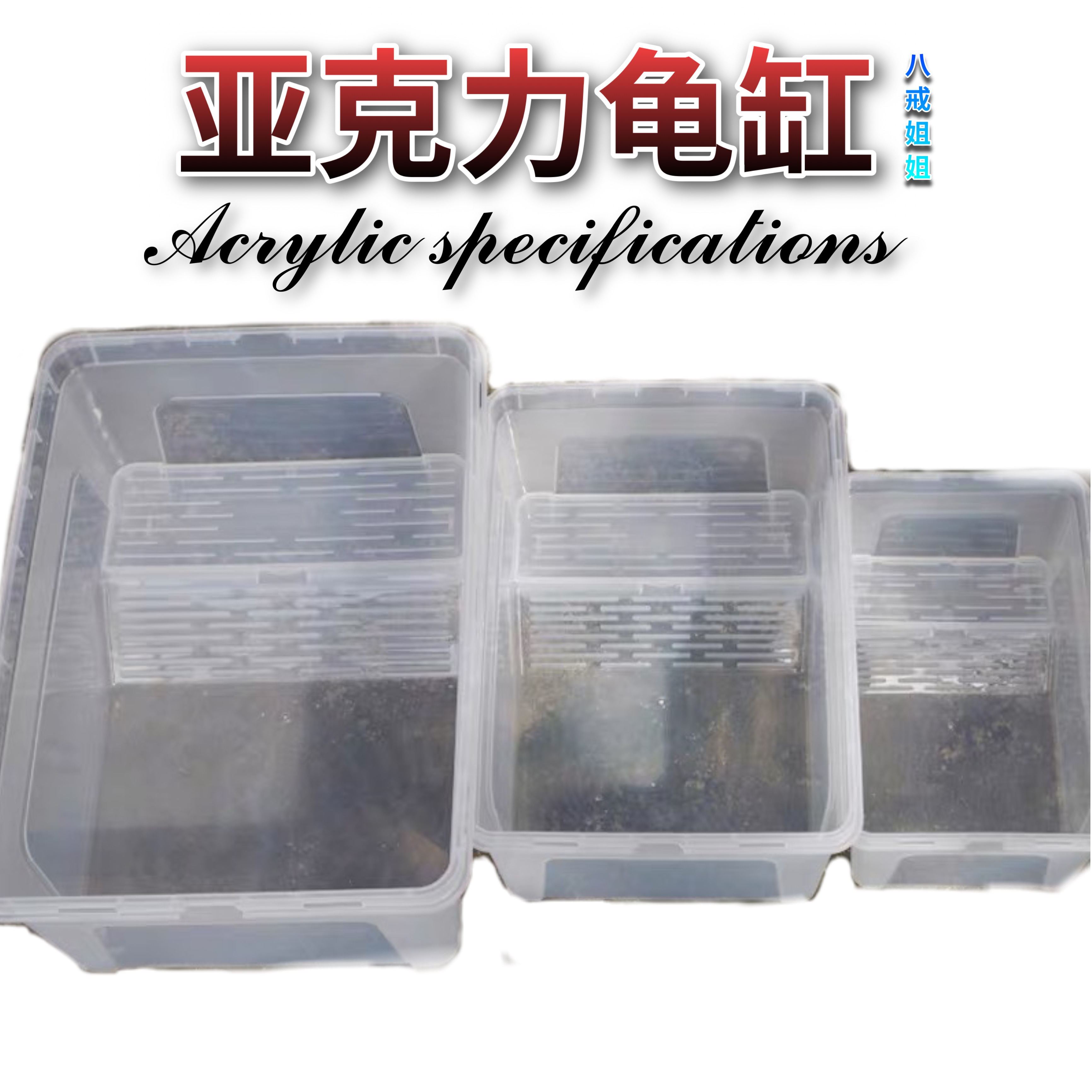 Sister Octopus Turtle Cylinder Acrylic Turtle Turtle Turtle Turtle Turtle Turtle Turtle Turtle Turtle Turtle Turtle Turtle Turtle Turtle Turtle Turtle Turtle Turtle Turtle Turtle Turtle Turtle Turtle Turtle Turtle Turtle Turtle Turtle Turtle Turtle Turtle Turtle Turtle Turtle Turtle Turtle Turtle Turtle Turtle Turtle Turtle Turtle