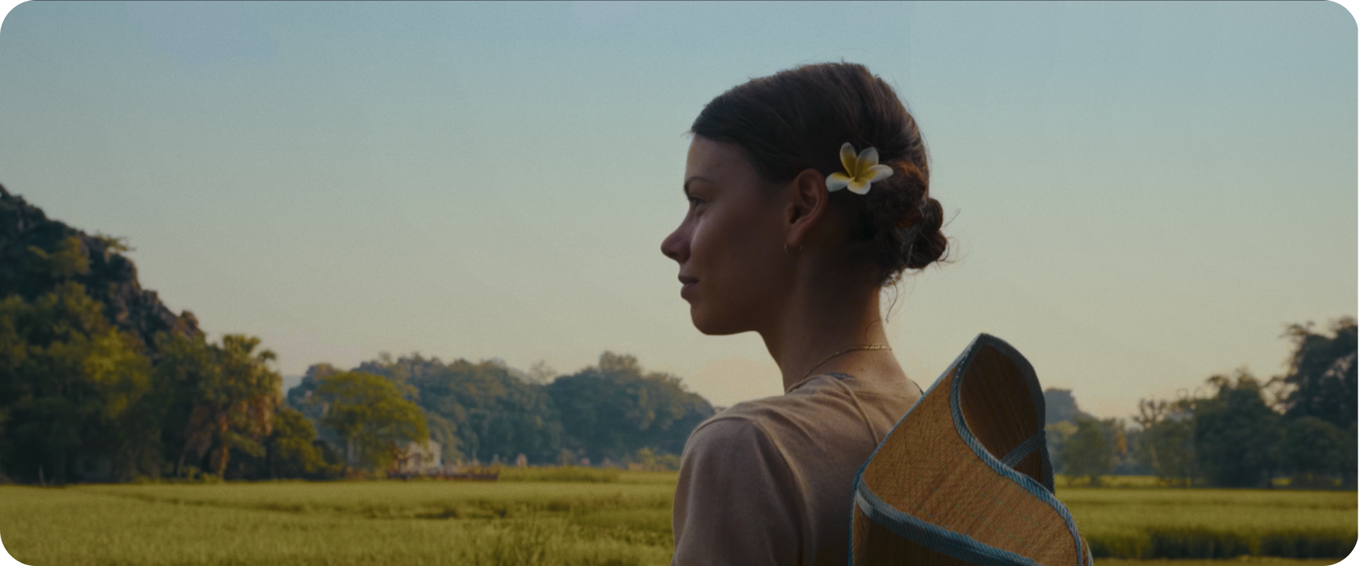 达芬奇专业胶片色彩全流程DCTL电影模拟插件 Rocket Rooster Film Labs 64 06dc8330-117f-493a-ac9c-efd719081c0c.png