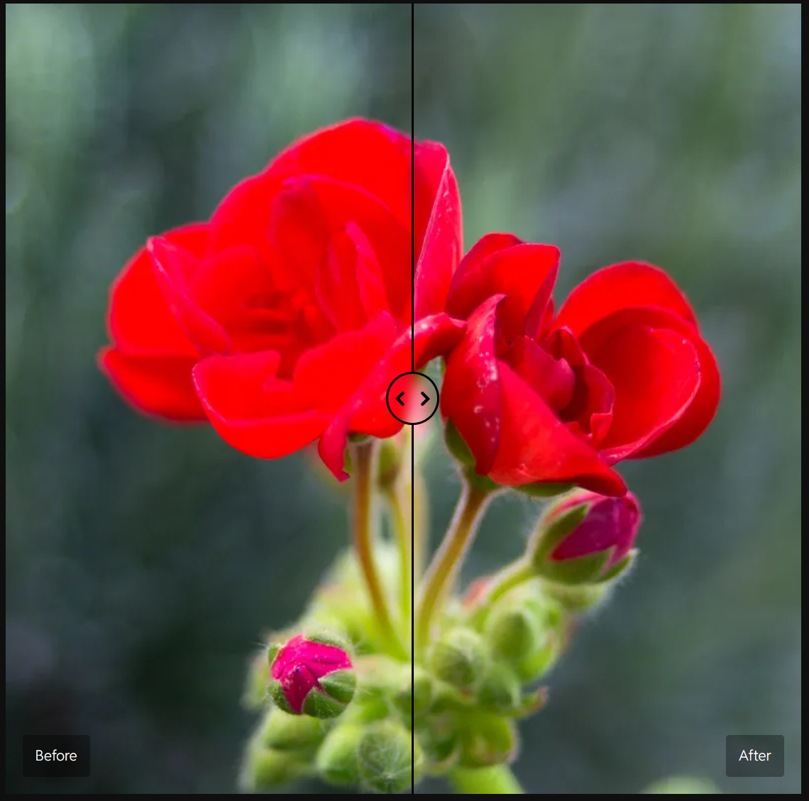 QQ20260309-204333.png