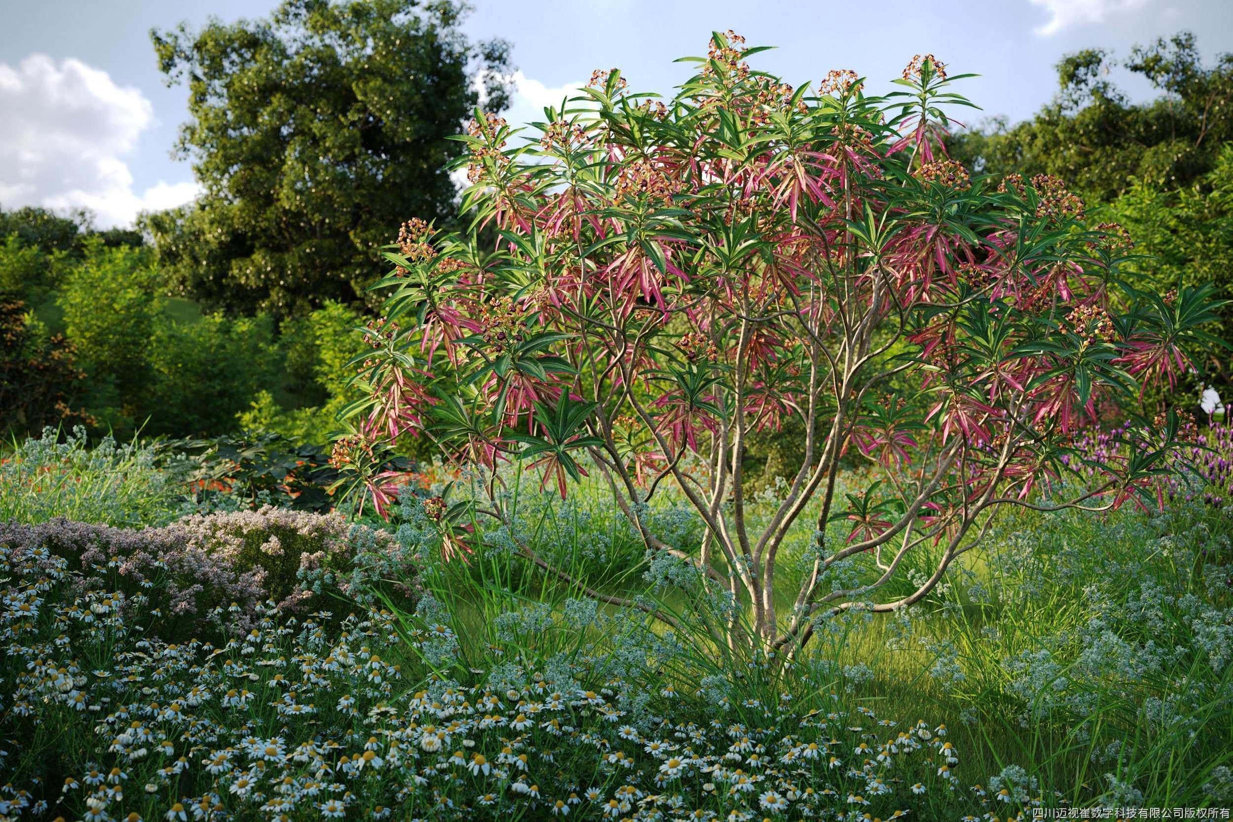 MT-PM-V61-Scene-C2.jpg