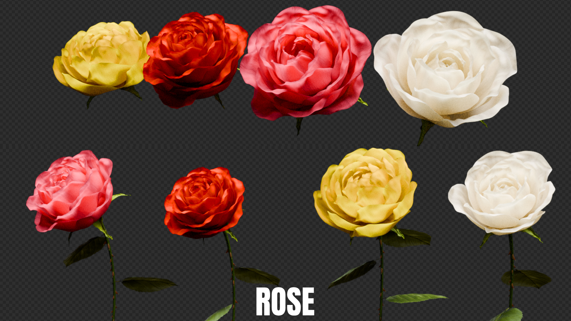rosebm (3).png