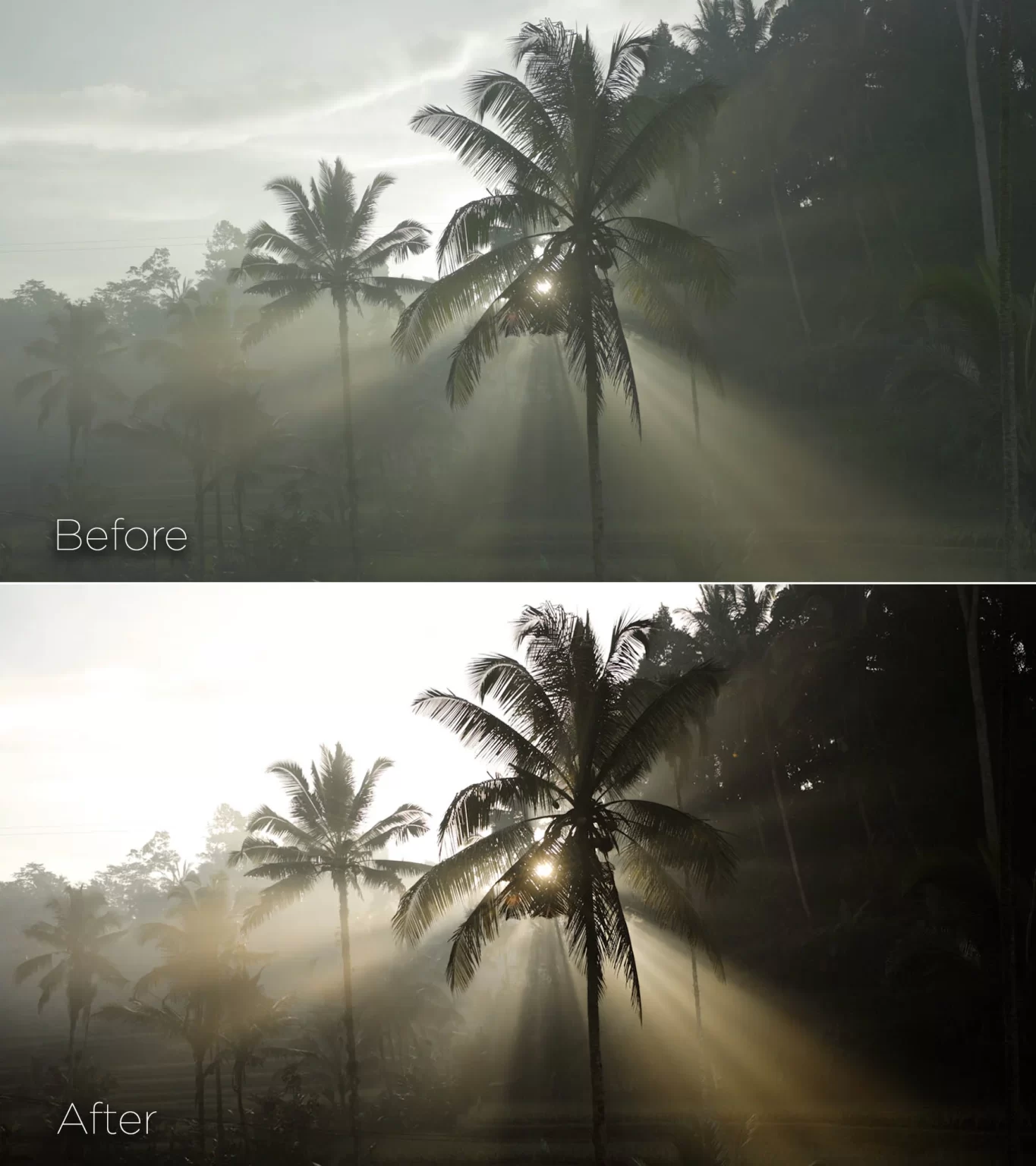 3b39981e-4d24-490d-80a3-7065d0ca7cfe.webp