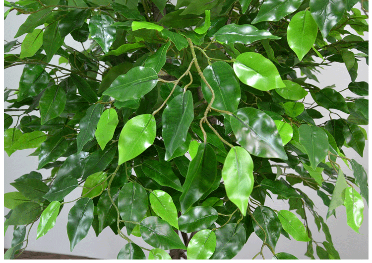 Mô phỏng cây xanh giả bạch đàn mô phỏng lớn bạch đàn khách sạn phòng khách sàn hoa đặt trang trí thân cây bằng gỗ tùy chỉnh - Hoa nhân tạo / Cây / Trái cây lan giả hạc rừng