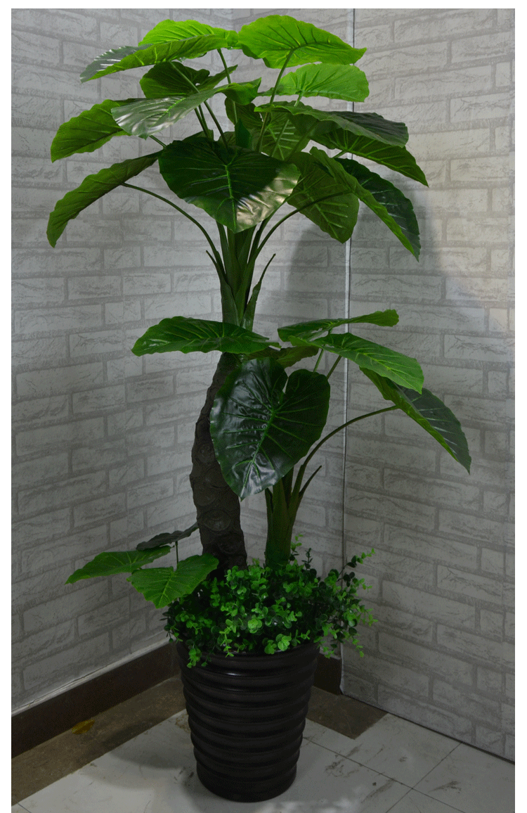 Cây giả nhỏ giọt Guanyin mô phỏng cây xanh cây xanh chậu lớn phòng khách văn phòng hoa giả sàn trang trí hoa - Hoa nhân tạo / Cây / Trái cây cây giả decor