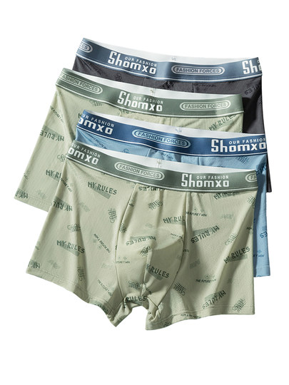 Men's Ice Silk Underwear 2026 New Boxer Briefs for Teenagers in the Developmental Period, Students, High School Students, Seamless Boxer Briefs