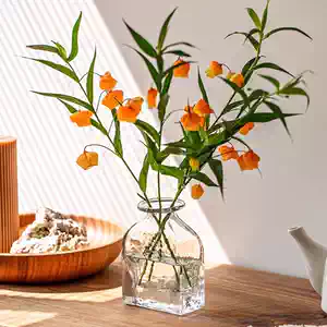 西山芳浩- Top 100件西山芳浩- 2026年5月更新- 淘宝Taobao｜天猫Tmall