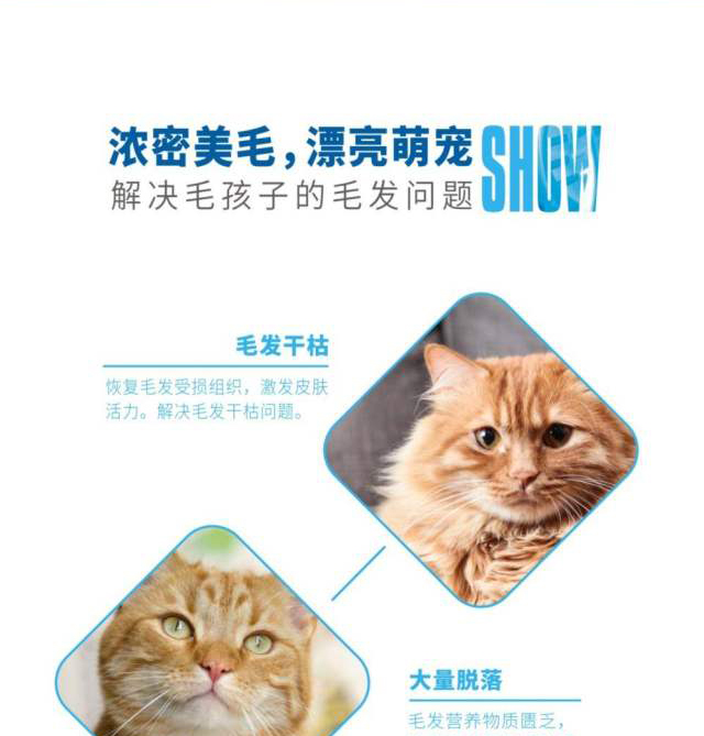 Cheershare thưởng thức sản phẩm tuyệt vời lecithin hạt rắn vật nuôi dinh dưỡng sức khỏe sản phẩm chó mèo 300g - Cat / Dog Health bổ sung Sữa dành cho chó trưởng thành