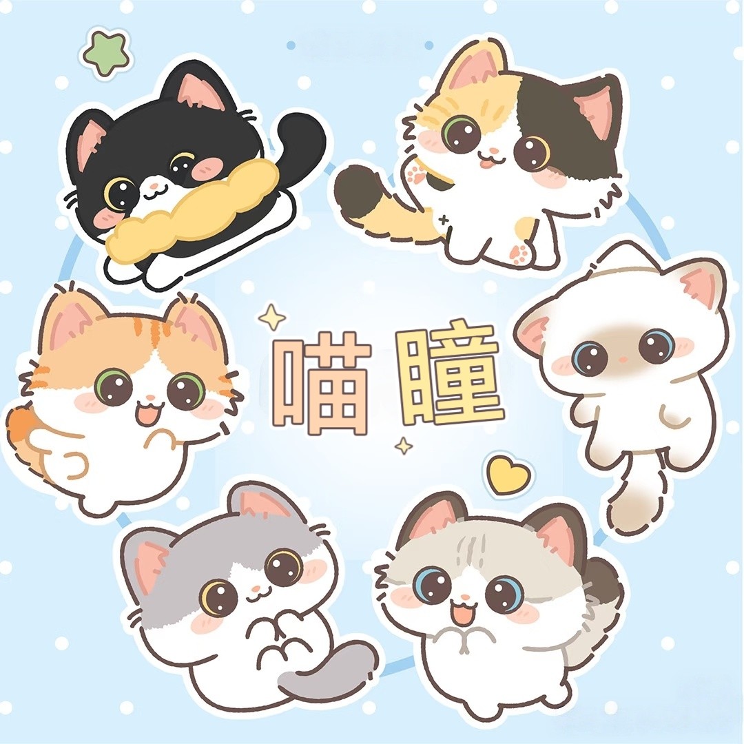 六只喵瞳隐形眼镜折扣店