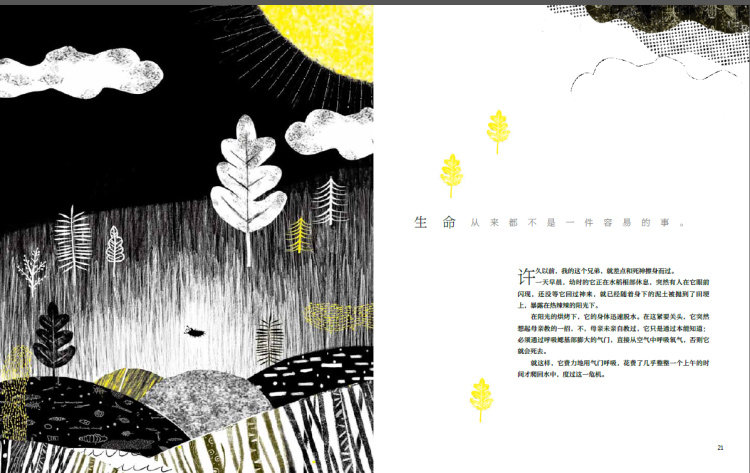 Книга книг-